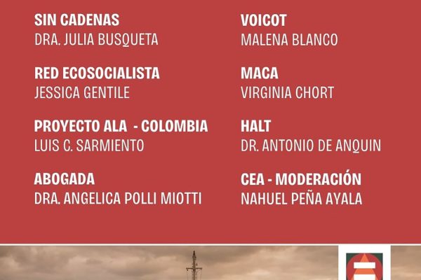 Las iniciativas para frenar la exportación de ganado en pie: maltrato animal, riesgo ambiental y daños costeros