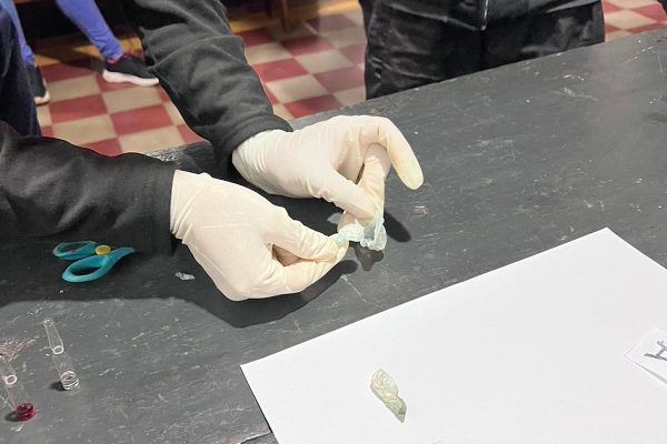 “Les traje el postre a mis hermanos”: intentó ingresar cocaína oculta en un pote de dulce de leche y terminó detenida