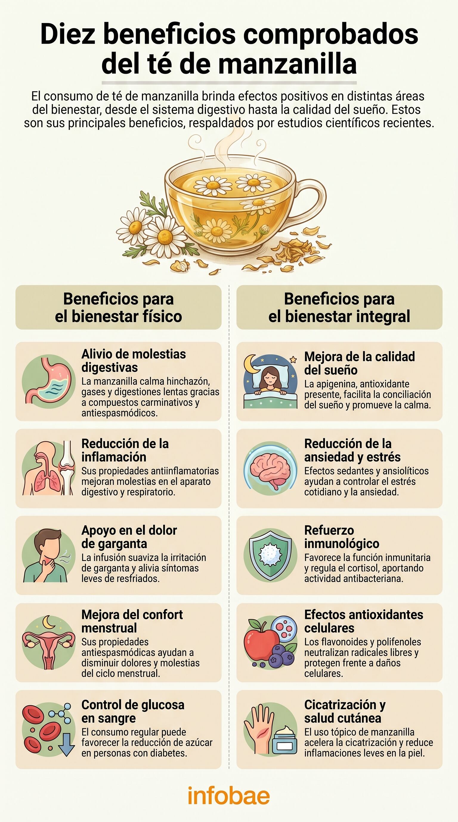 Las propiedades carminativas y antiespasmódicas de la manzanilla contribuyen a disminuir episodios de hinchazón y molestias estomacales después de las comidas (Imagen Ilustrativa Infobae)