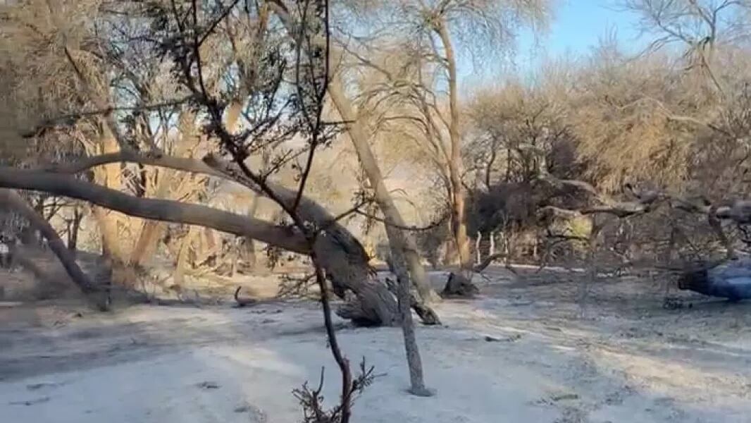 El Concejo Deliberante de Cafayate declaró la Emergencia Ambiental por Incendios Forestales por 18 meses en todo el departamento