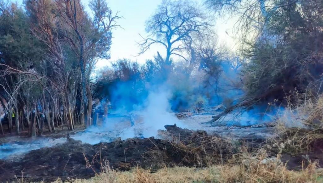 Los incendios en Cafayate ya arrasaron más 200 hectáreas y la Justicia de Salta busca a los responsables