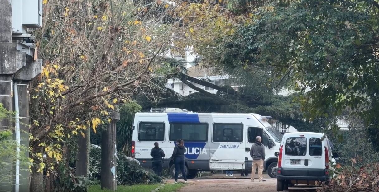 La Policía Científica en el lugar