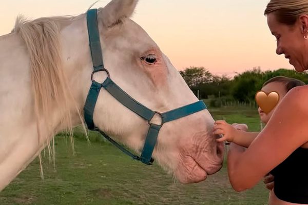 Nicole Neumann se conmovió con el tierno gesto de un vecino con su mascota: “Me dan un poco de esperanza”