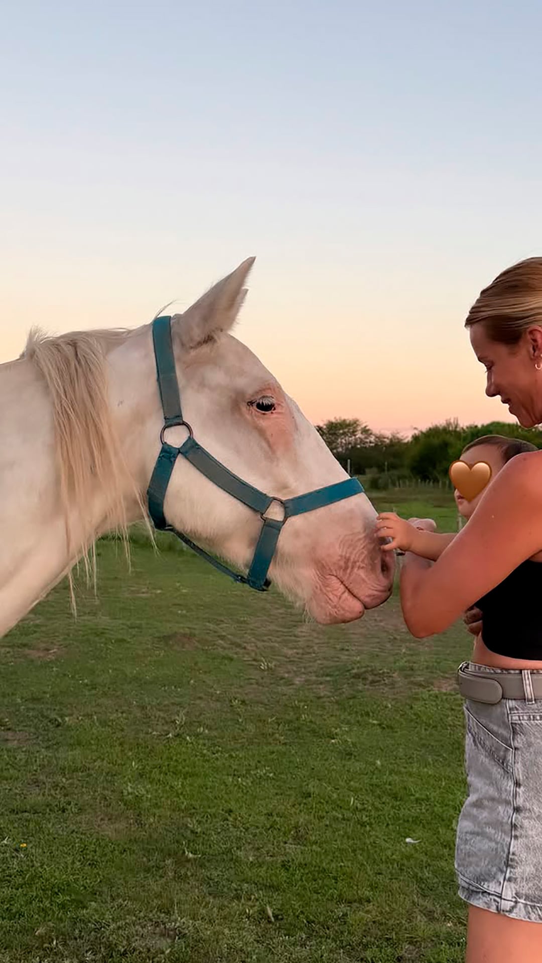 Nicole Neumann se conmovió con el tierno gesto de un vecino con su mascota: “Me dan un poco de esperanza”
