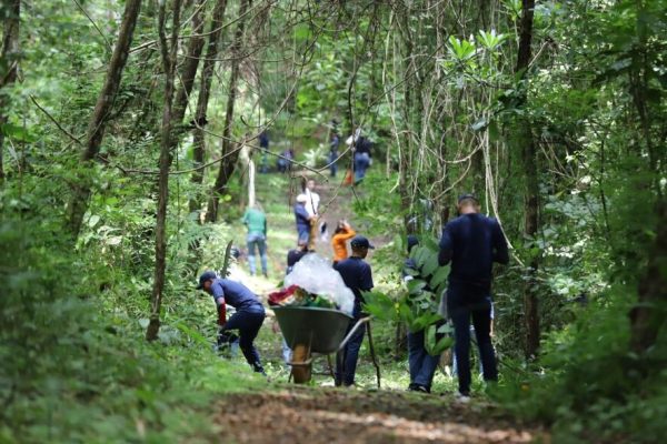 Panamá celebra el 60 aniversario de Altos de Campana, su primer parque nacional y reserva biológica