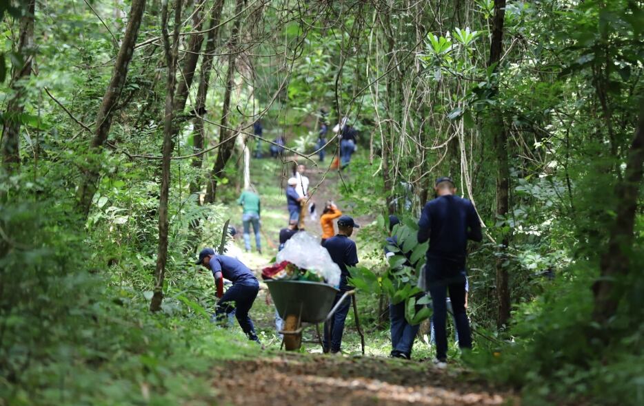 Panamá celebra el 60 aniversario de Altos de Campana, su primer parque nacional y reserva biológica
