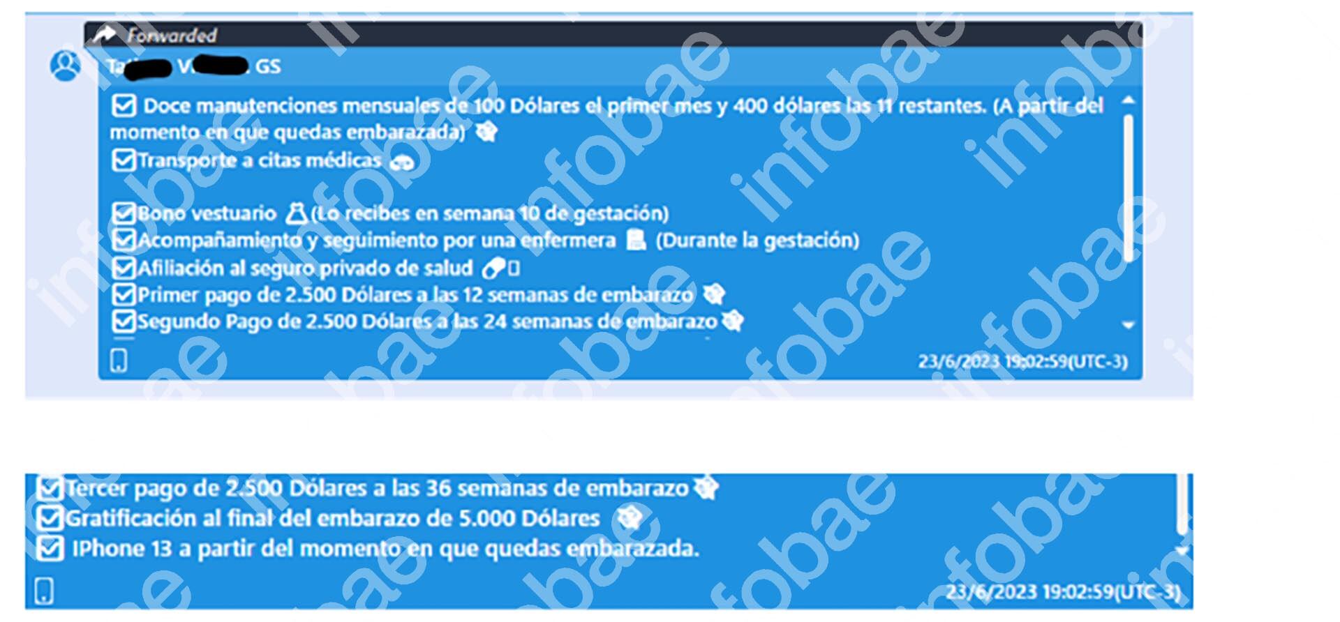 Captura de pantalla muestra una lista detallada de beneficios por embarazo, incluyendo asistencia monetaria, servicios y la entrega de un iPhone 13.