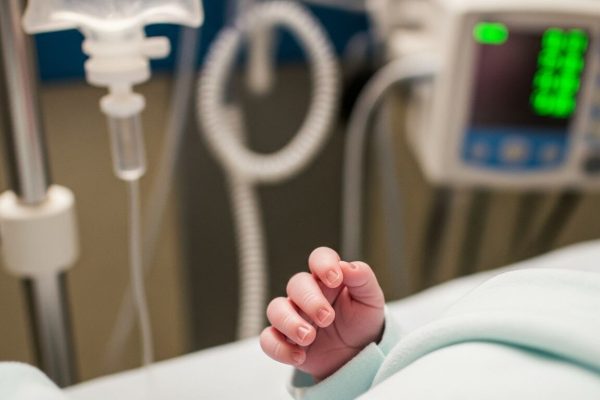 Por primera vez, editan genes de embriones humanos con precisión pero admiten que aún queda mucho por resolver