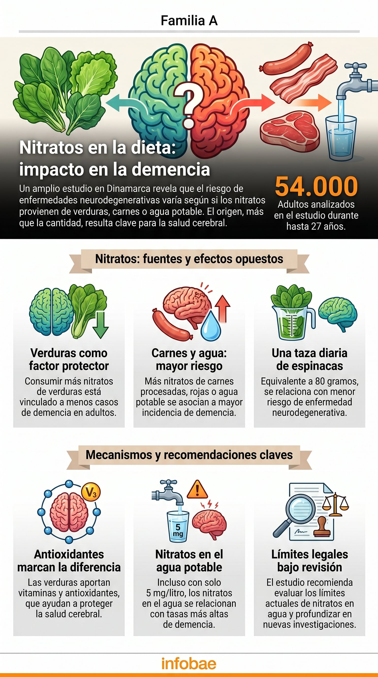 En una cohorte danesa de más de 54.000 personas, la mayor ingesta procedente de hojas verdes se asoció con menos diagnósticos frente a fuentes animales y del agua; los autores reclaman más investigación (Imagen ilustrativa Infobae)