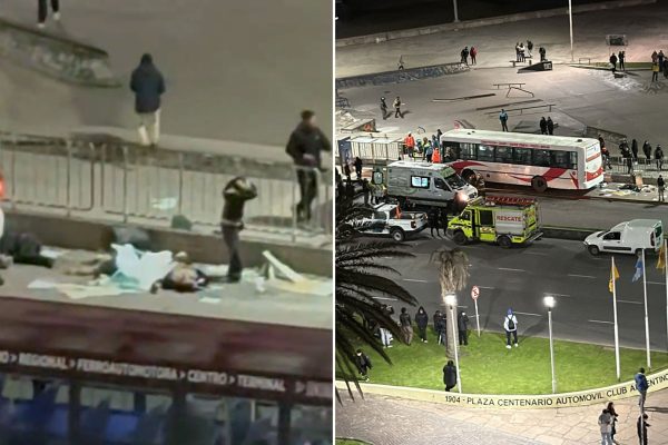 Quién era Guadalupe Merlos, la joven de 18 años que murió tras ser atropellada por un colectivo en Mar del Plata