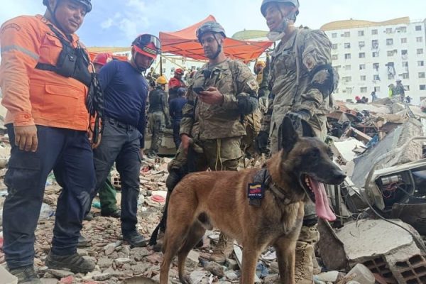 Quién es “Bart”, el perro argentino que ayudó en el rescate de dos niños atrapados entre los escombros en Venezuela
