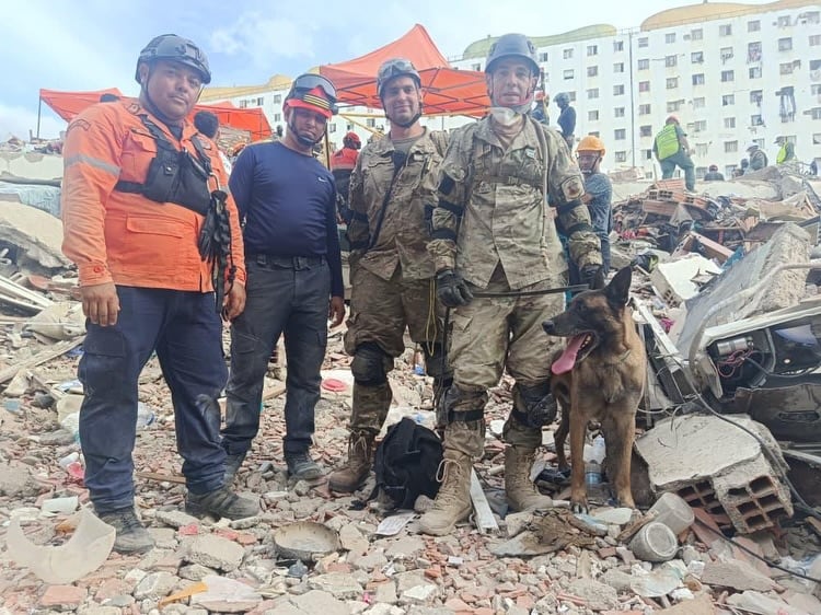 “Bart”, el perro argentino que rescató a dos niños atrapados entre los escombros en Venezuela