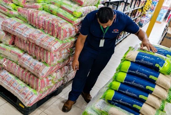 Realizan tercer inventario físico para determinar la cantidad de arroz que hay en Panamá