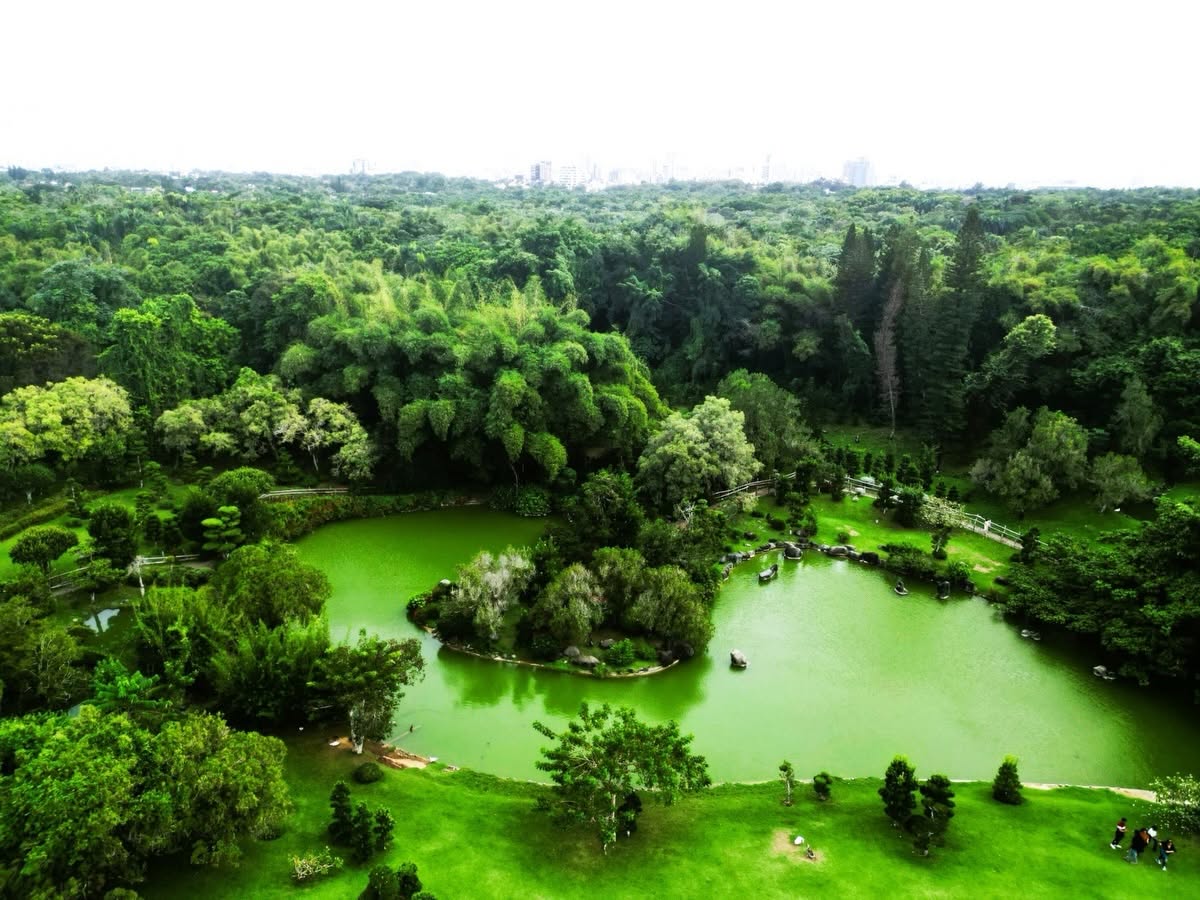 El Ministerio de Medio Ambiente y Recursos Naturales lidera la transformación del Jardín Botánico Nacional para renovar su infraestructura y servicios. (Foto cortesía Jardín Botánico Nacional)