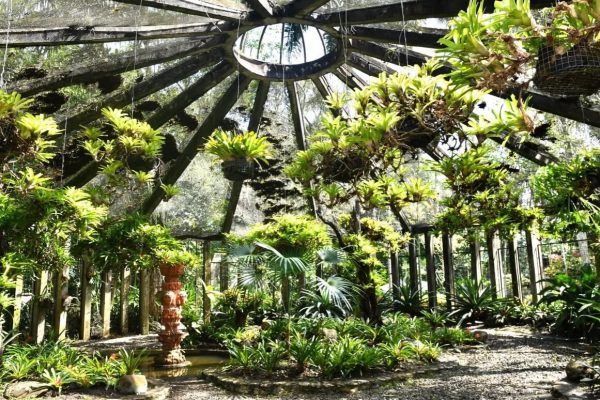 República Dominicana inaugura la primera etapa de la modernización del Jardín Botánico Nacional con una inversión de 50 millones de pesos