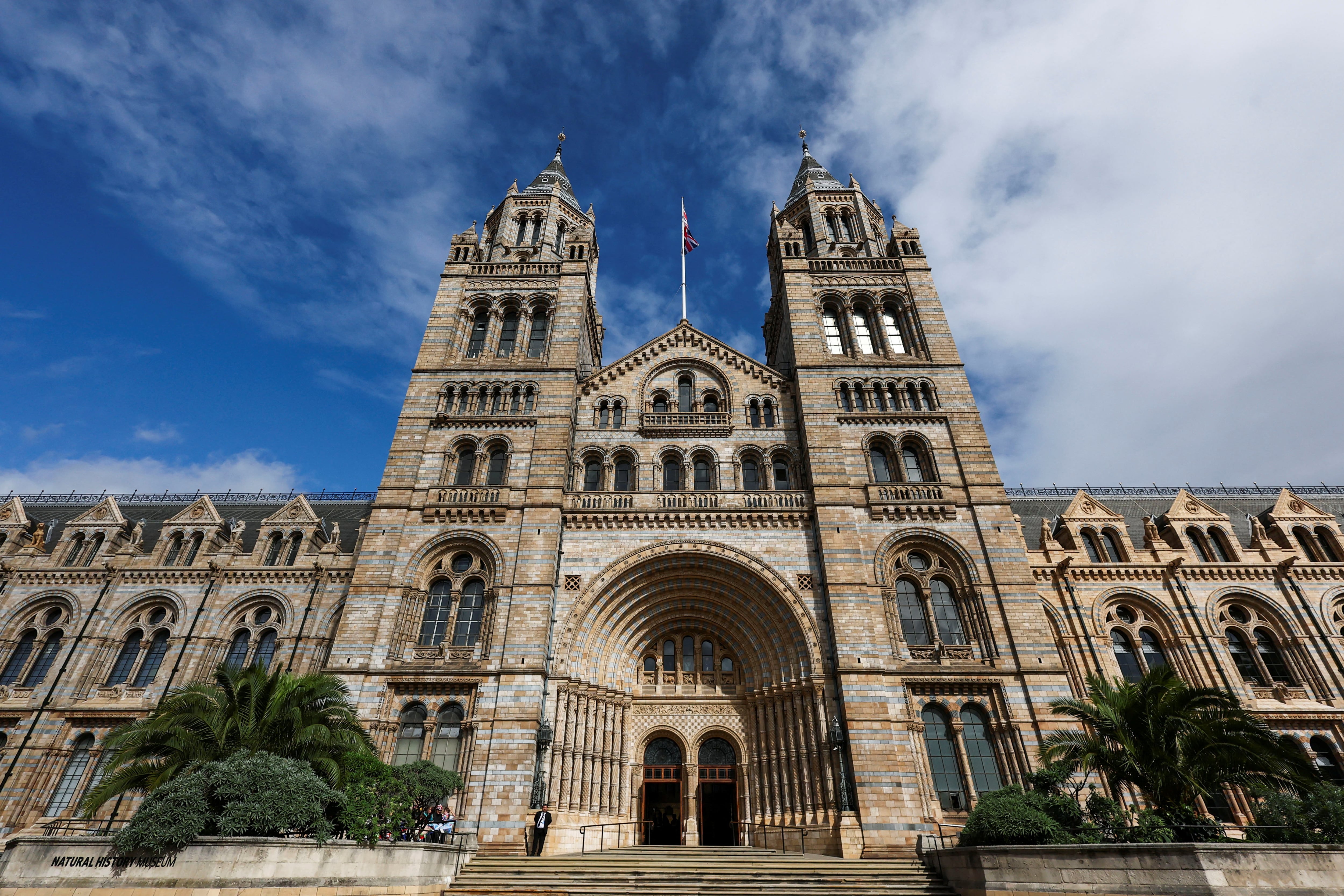 La identidad del escorpión fue confirmada por investigadores del Museo de Historia Natural de Londres tras más de 150 años de debate científico. REUTERS/Toby Melville