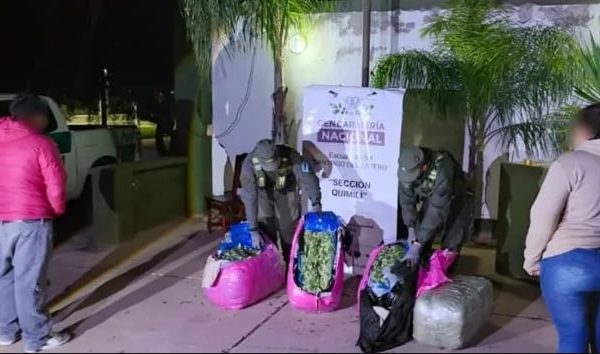 Secuestran más de mil kilos de hojas de coca y cerca de 22 mil paquetes de cigarrillos en Salta