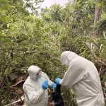 Senasa mantiene vigilancia en el occidente de Honduras tras detectar brote de influenza aviar en aves silvestres