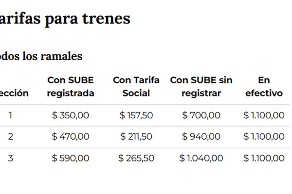 Suspendieron el servicio del Tren Roca por problemas eléctricos: hay cinco ramales afectados