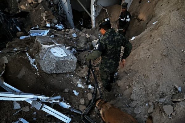 Togo y Mago: los perros que guiaron la búsqueda entre los escombros de la tragedia en Honduras