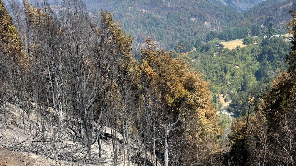 El trágico hecho ocurrió en Mallín Ahogado (Foto de archivo ilustrativa)