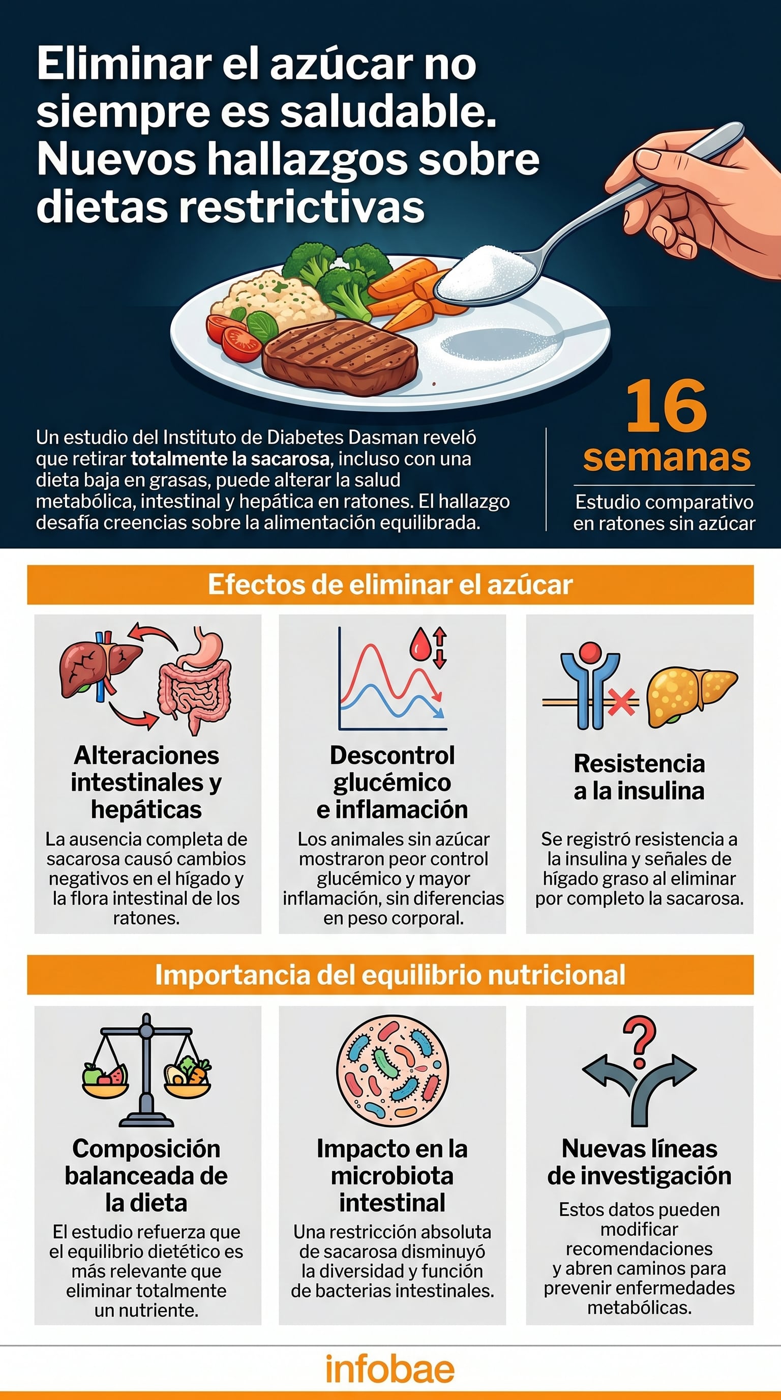 El análisis en animales evaluó la composición de bacterias intestinales, hormonas y marcadores inflamatorios (Imagen ilustrativa Infobae)