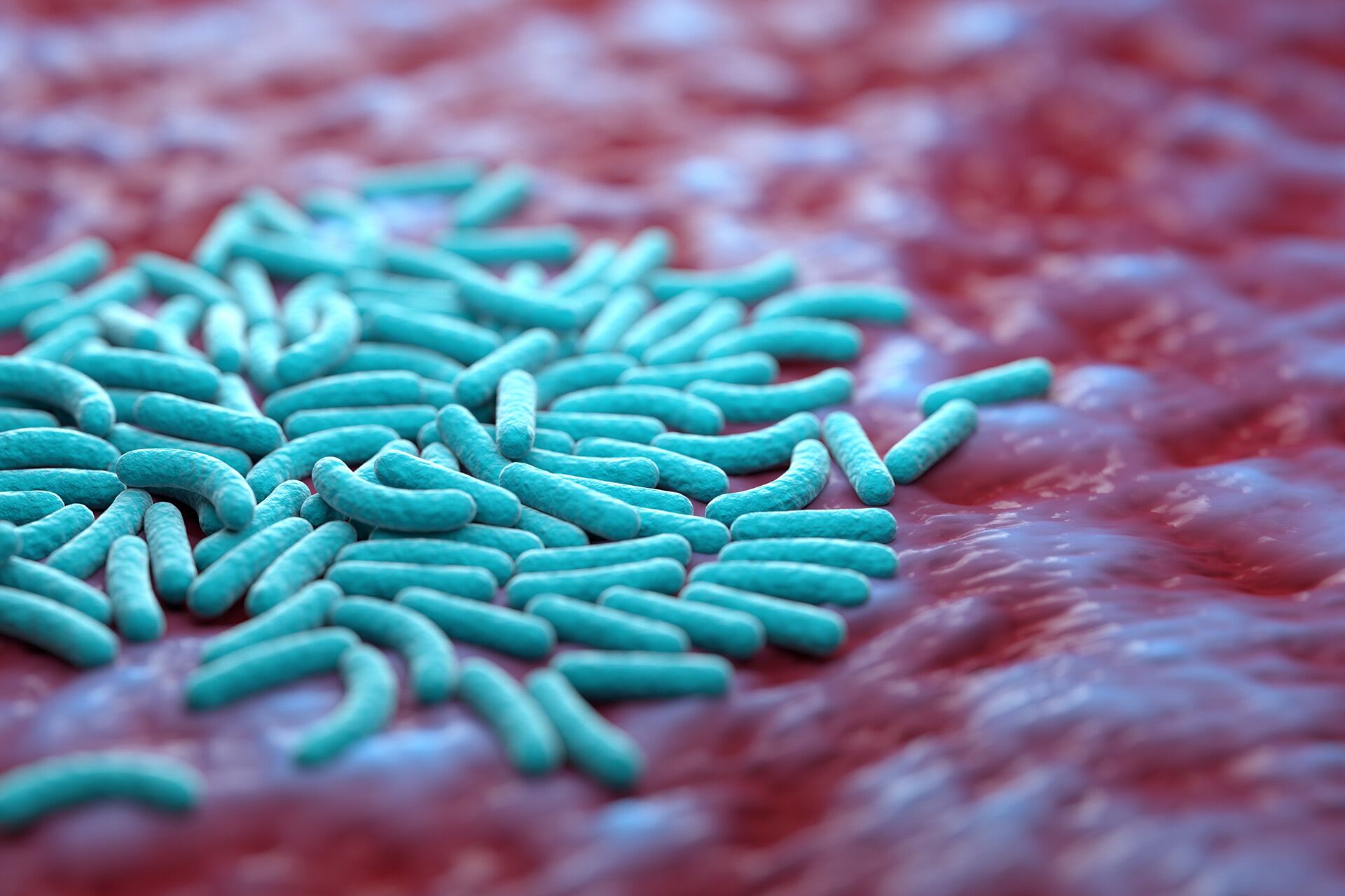 El estudio sobre tuberculosis, publicado en Nature Communications, halló que 