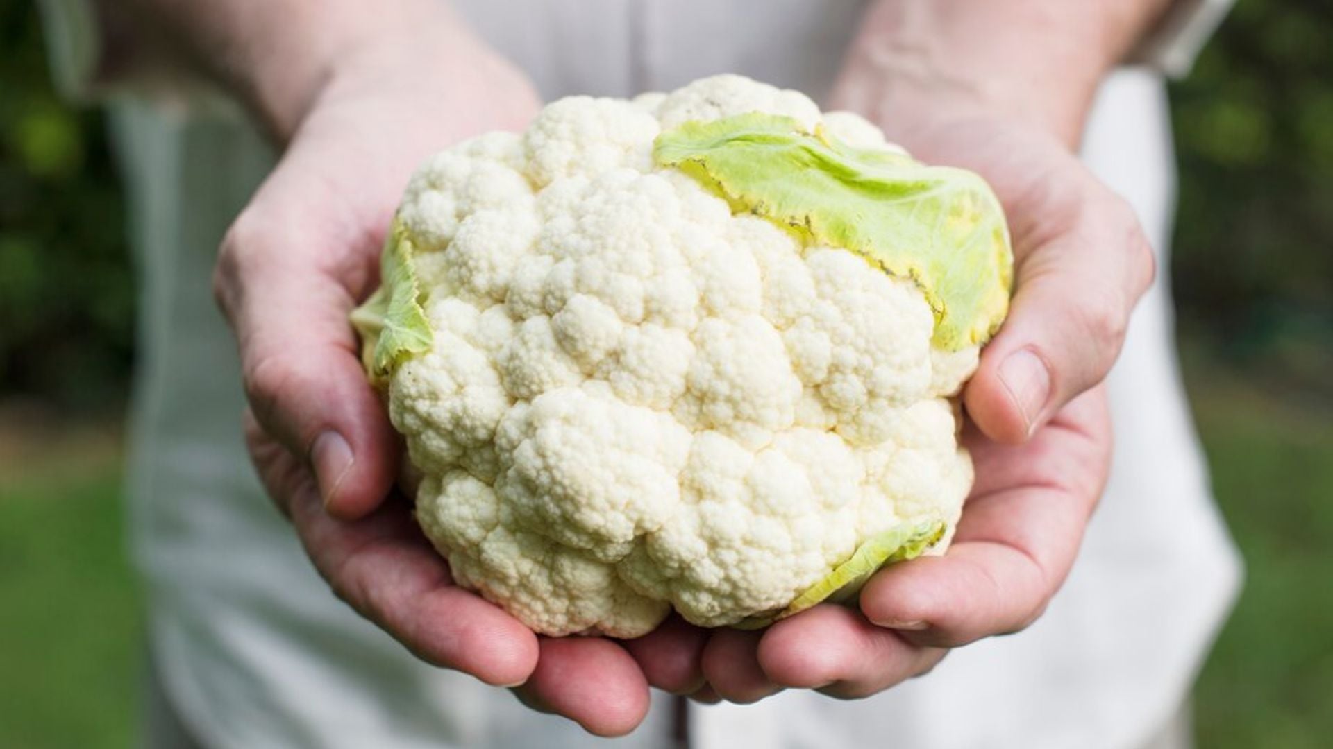 La coliflor aporta vitamina C, vitamina K y ácido fólico, y sus compuestos antioxidantes ayudan a proteger el organismo de procesos inflamatorios y oxidativos (Freepik)