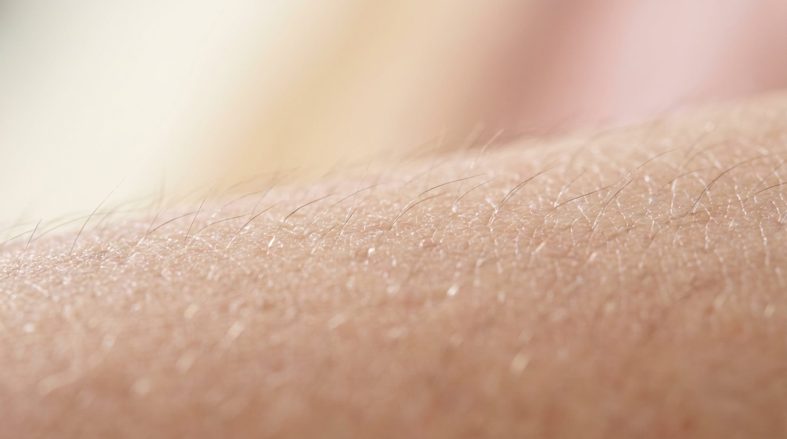 6 hábitos recomendados por dermatólogos para mantener la piel saludable a cualquier edad
