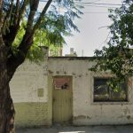 Chocó contra un árbol y murió: en el hospital descubrieron que tenía una herida de bala en la espalda