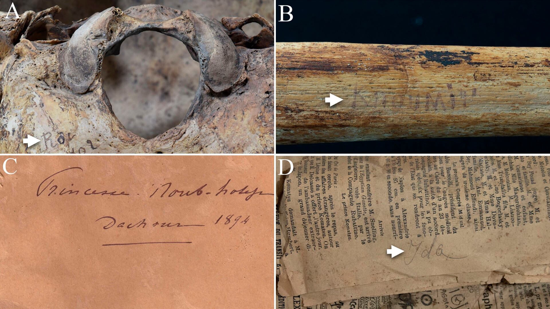 El análisis bioarqueológico combinó huesos, rayos X y espectroscopía FTIR para reconstruir salud, actividad física y vínculos familiares de la realeza del Imperio Medio (Frontiers in Environmental Archaeology)