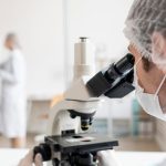 Cómo es la técnica genética que fue clave para clonar el primer cerdo para trasplante de órganos en Argentina