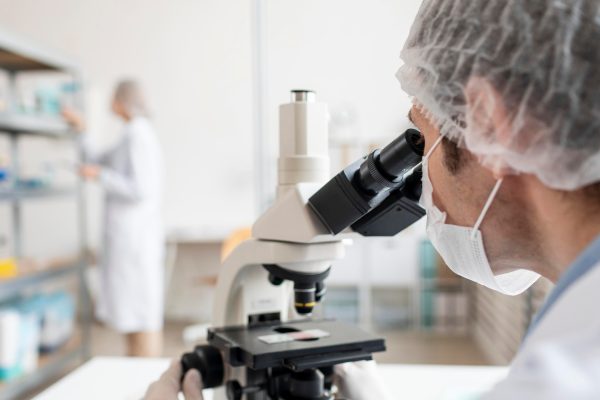 Cómo es la técnica genética que fue clave para clonar el primer cerdo para trasplante de órganos en Argentina