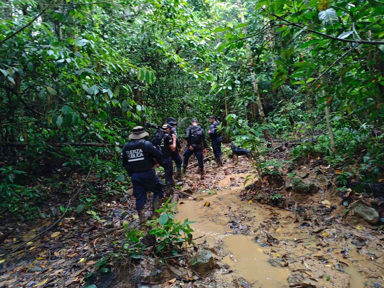 La propuesta sobre la minería ilegal prevé sanciones severas contra quienes promuevan, faciliten o participen en extracciones no autorizadas en Costa Rica. (Cortesía: Fuerza Pública de Costa Rica)