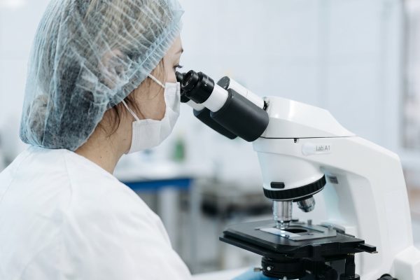 Crean la célula sintética más completa de la historia: 5 claves para entender qué implica