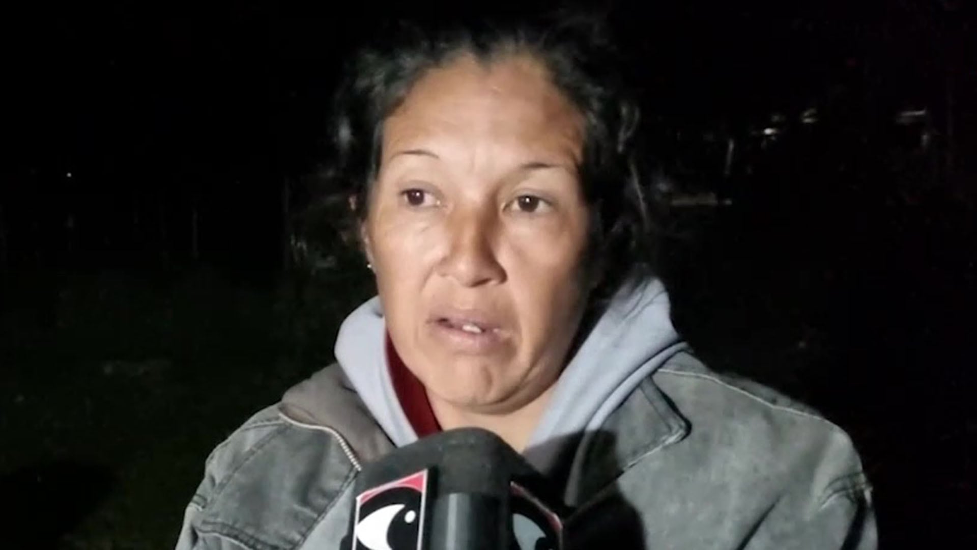María Itatí Olmedo, la tia del menor asesinado (Captura de video)