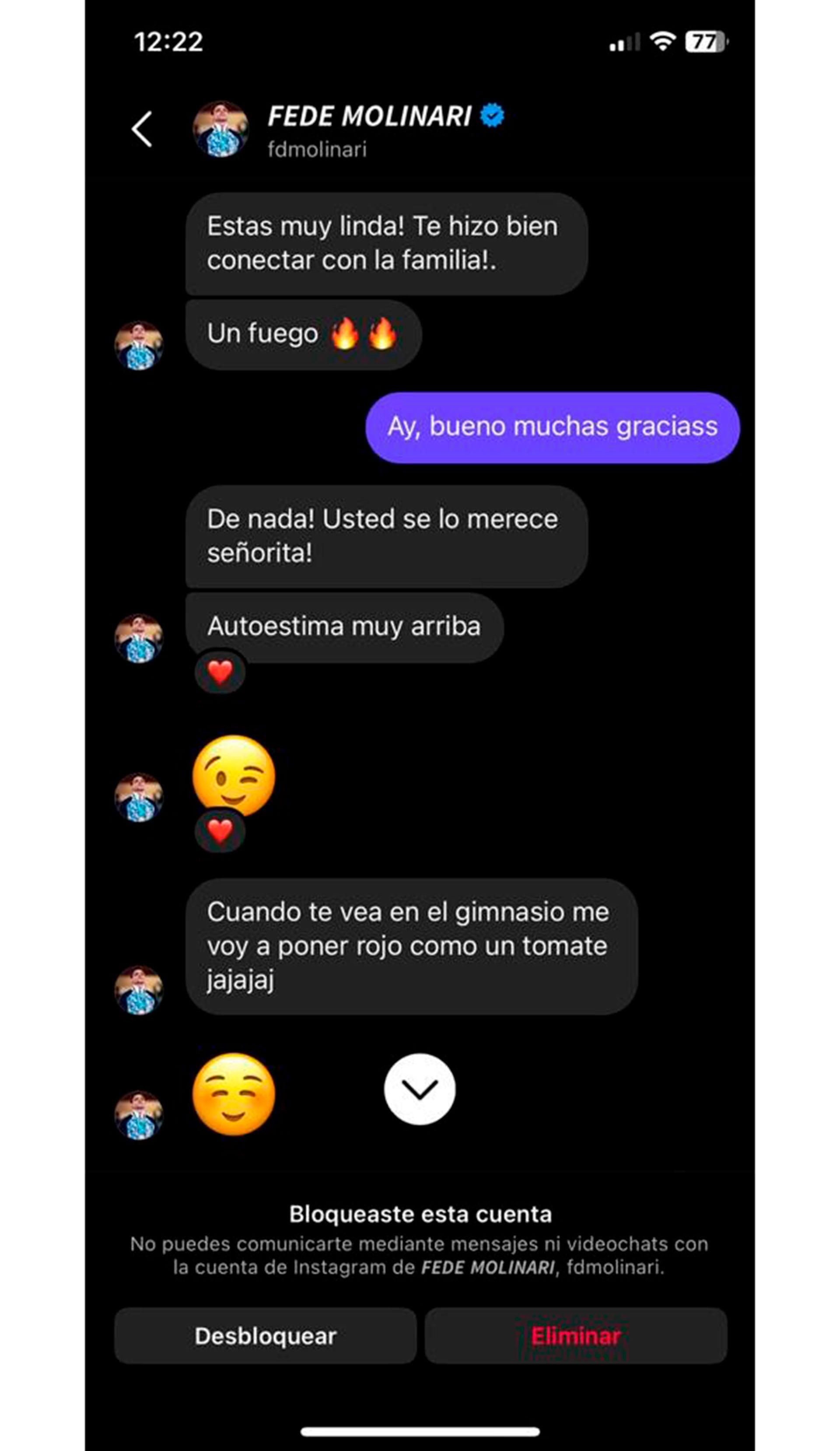 Uno de los chats presentados a la Justicia