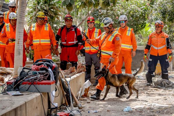 El método Rambo: así trabaja el canino de la misión salvadoreña durante búsqueda de sobrevivientes en Venezuela