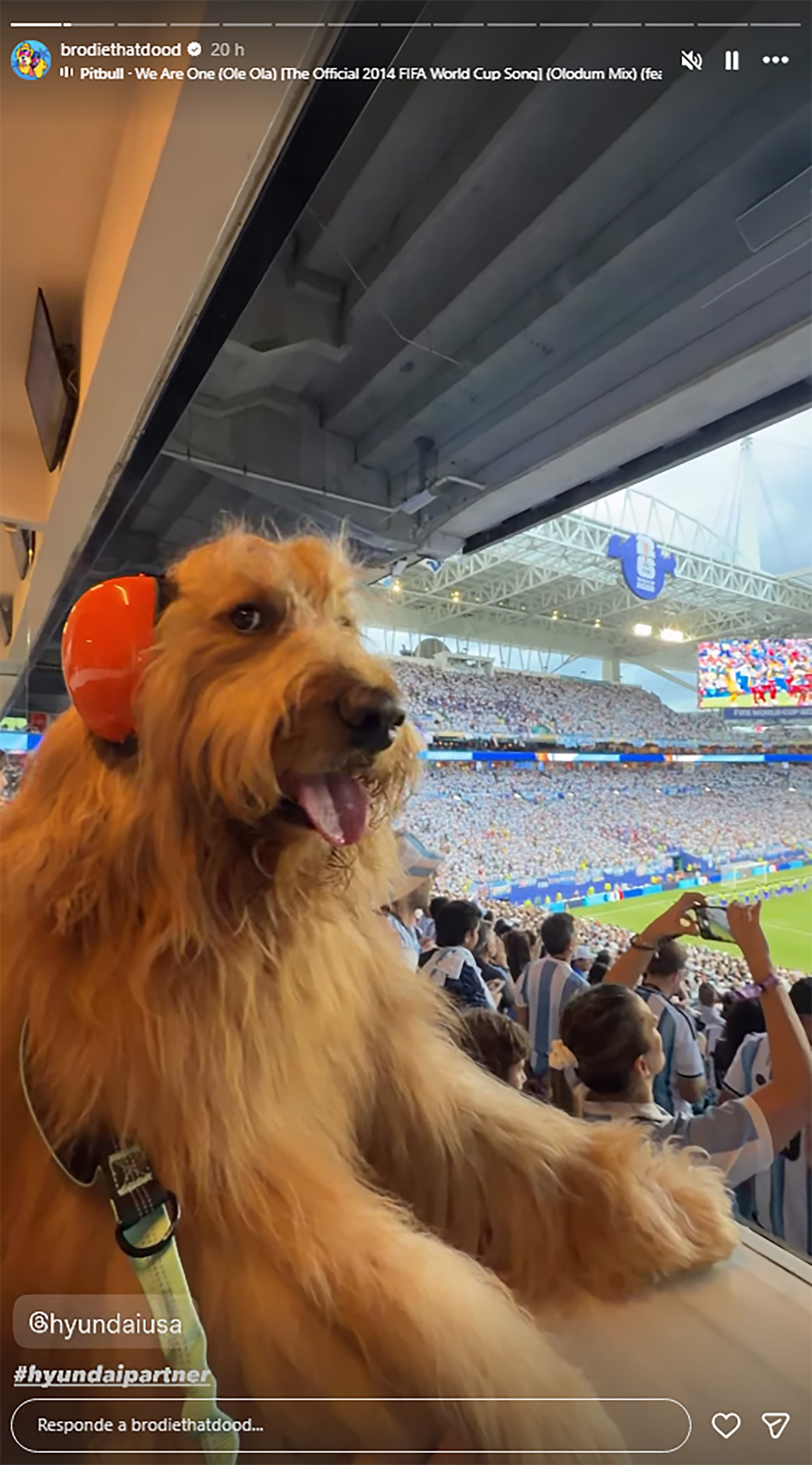Brodie captó la atención en el Hard Rock Stadium y generó furor en la tribuna, mientras Argentina definió el partido que lo llevó a octavos (@brodiethatdood)