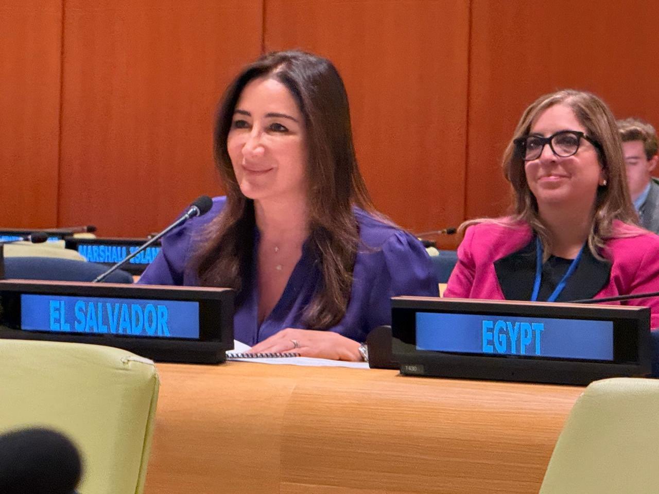 Michelle Sol afirmó en la ONU que el déficit habitacional sigue entre los retos más urgentes de América Latina y el Caribe./ (Redes Michelle Sol)