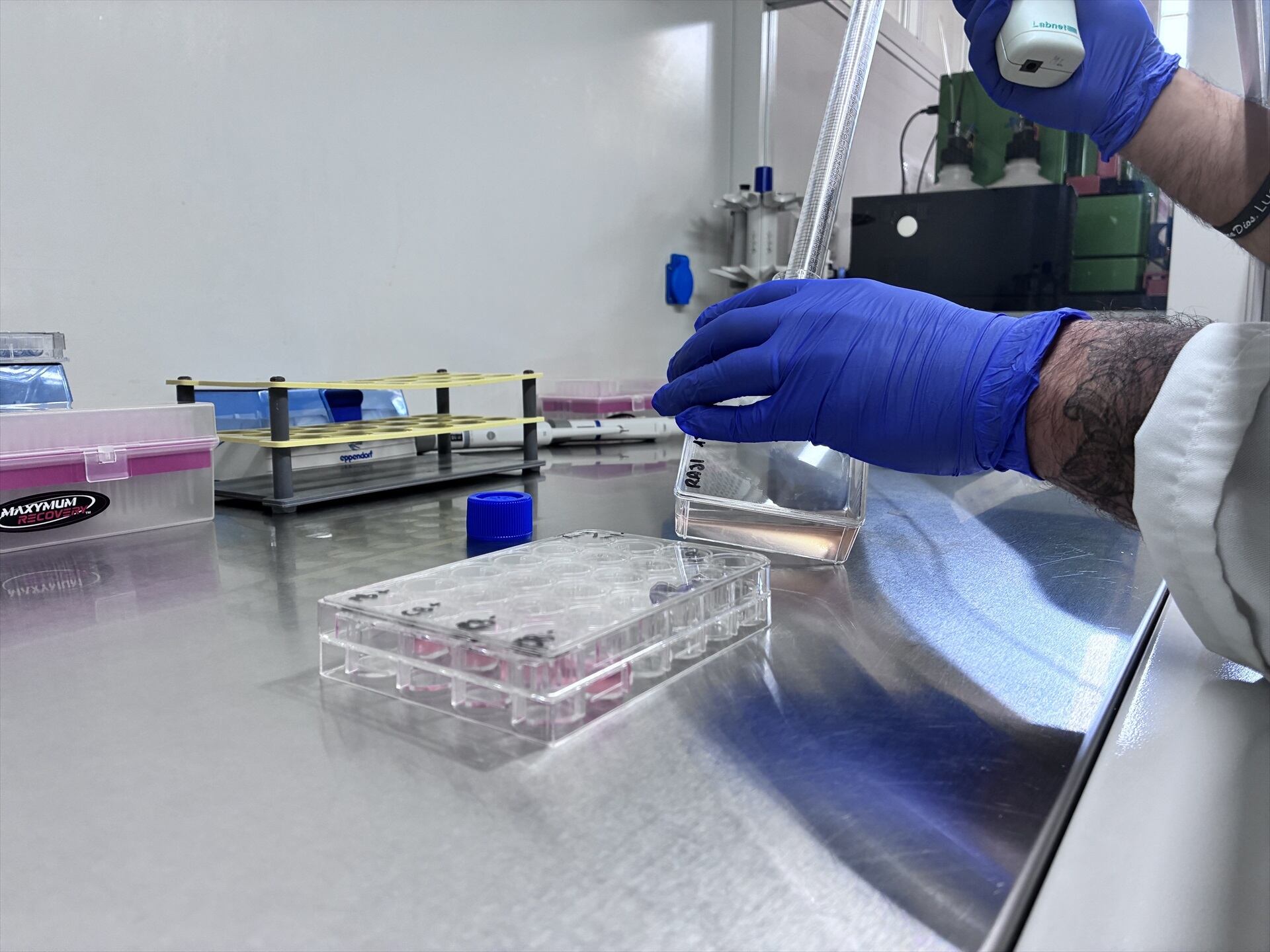 Impulsan un programa clínico para el desarrollo de terapias CAR-T para cáncer de sangre y enfermedades autoinmunes