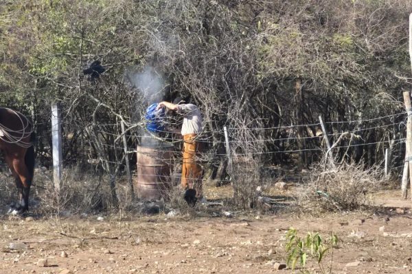 Incendios en Salta: habrá multas de hasta 2 millones de pesos por iniciar quemas