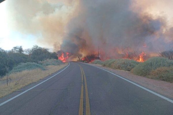 La Justicia de Salta imputó a un hombre por los incendios en Cafayate