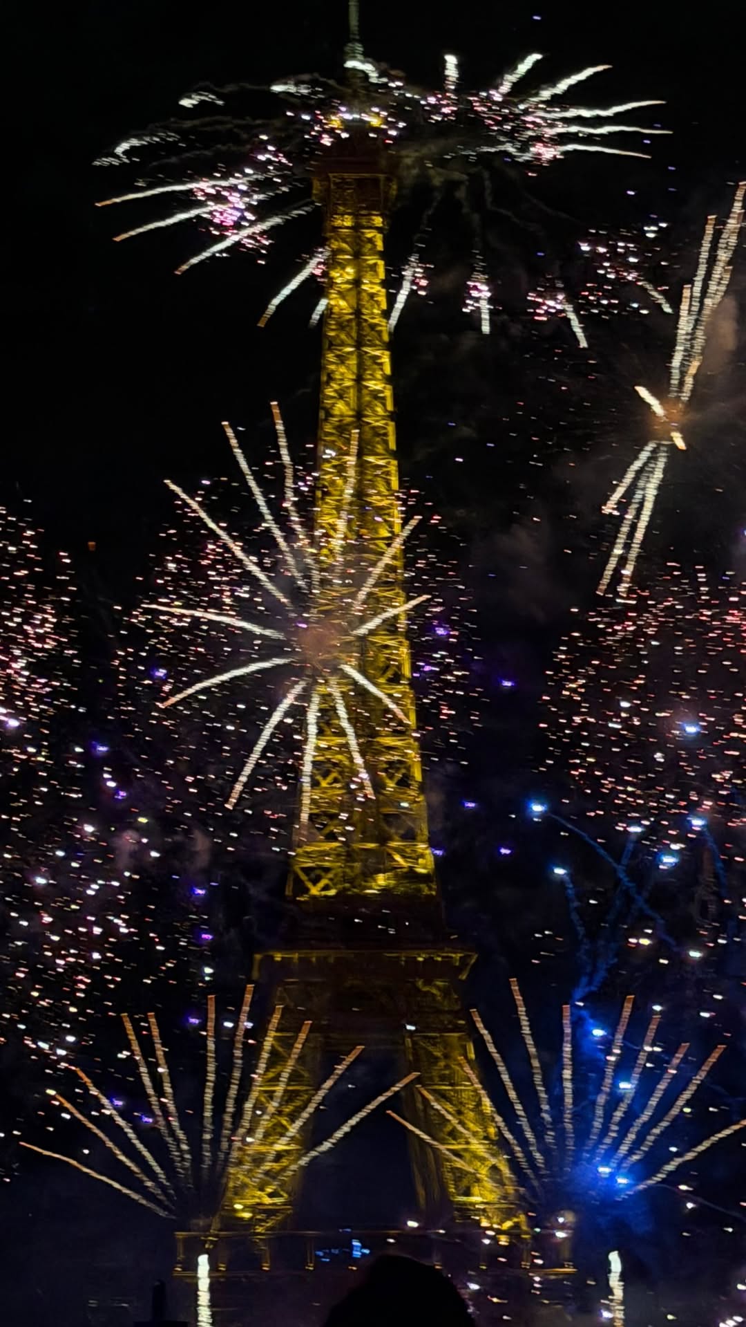Los fuegos artificiales del 14 de julio, el Día de la Bastilla, estallaron sobre la Torre Eiffel mientras Wanda Nara y sus hijos los presenciaban desde París