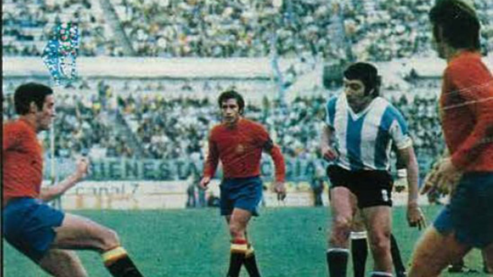 Brindisi en acción