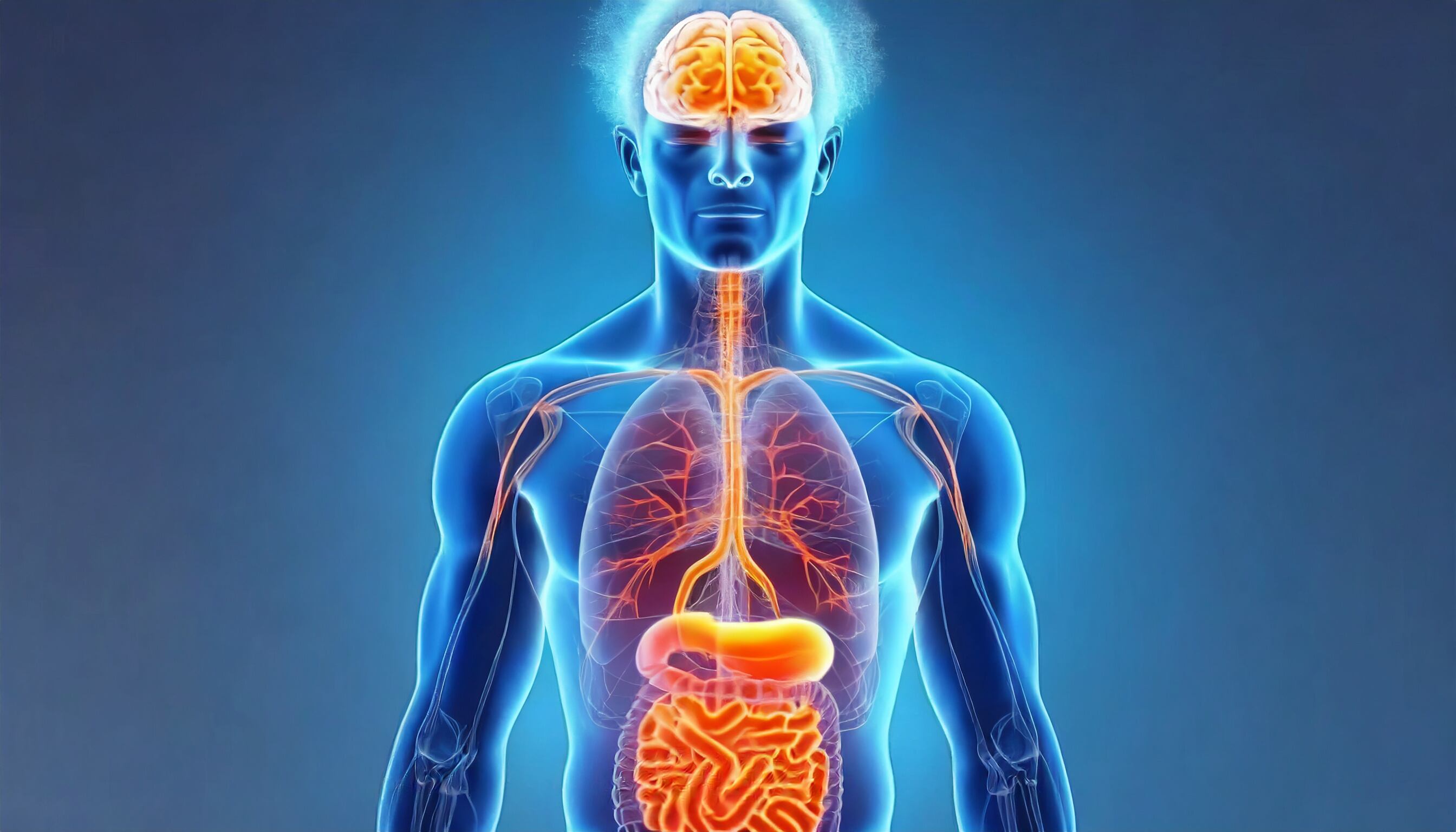 La enfermedad por reflujo gastroesofágico afecta a entre el 13% y el 25% de la población y puede causar complicaciones si no se trata (Imagen Ilustrativa Infobae)