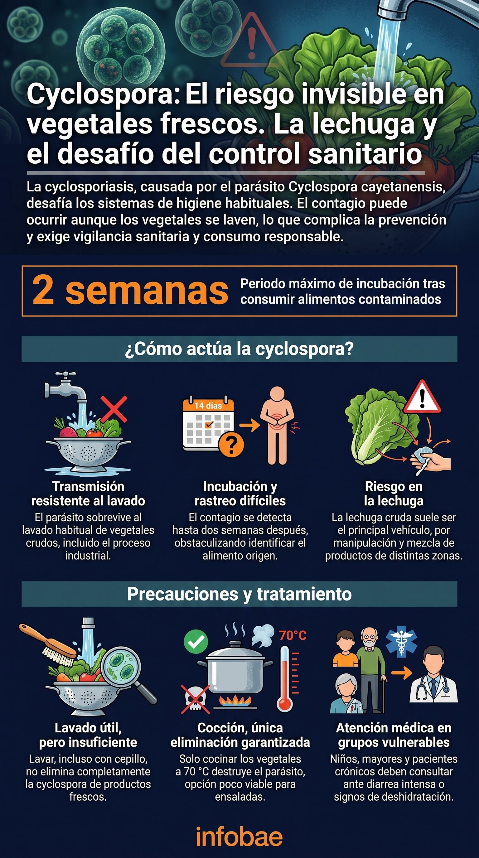 El periodo de incubación de la cyclospora puede llegar hasta dos semanas y dificulta identificar el alimento responsable del contagio (Imagen Ilustrativa Infobae)