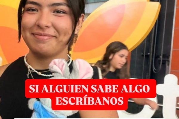 Se negó a que le secuestren el auto en un test de alcoholemia, mordió a una policía y terminó detenida