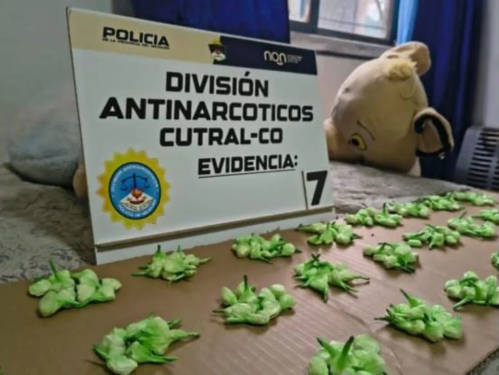 El vehículo incautado durante el allanamiento en Cutral Co, utilizado presuntamente para el traslado y distribución de estupefacientes