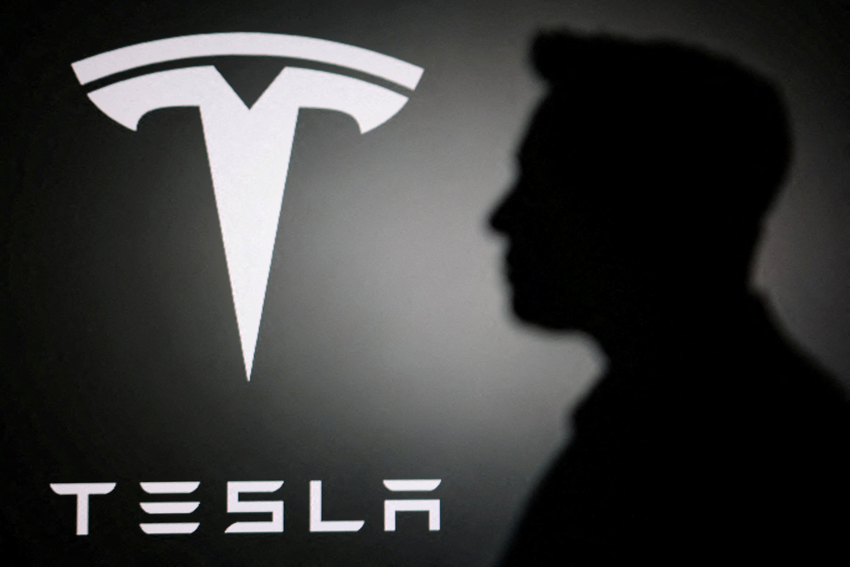 La multinacional de Elon Musk desembarca en Uruguay (REUTERS/Dado Ruvic/Illustration/File Photo)